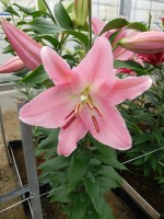 [5674 VZ W09 0952-02 No02.JPG]